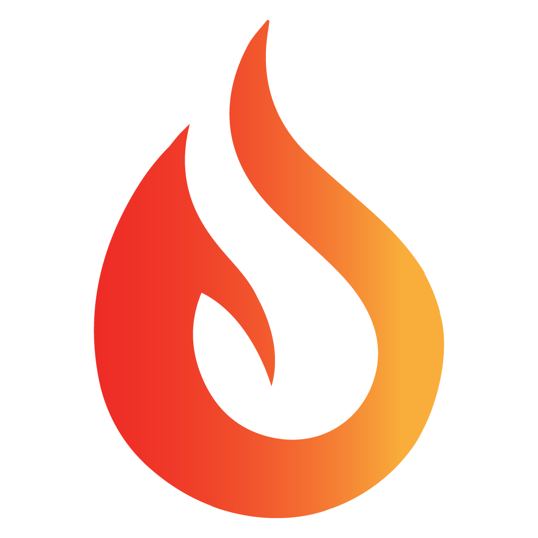 Solution Dragon Logo